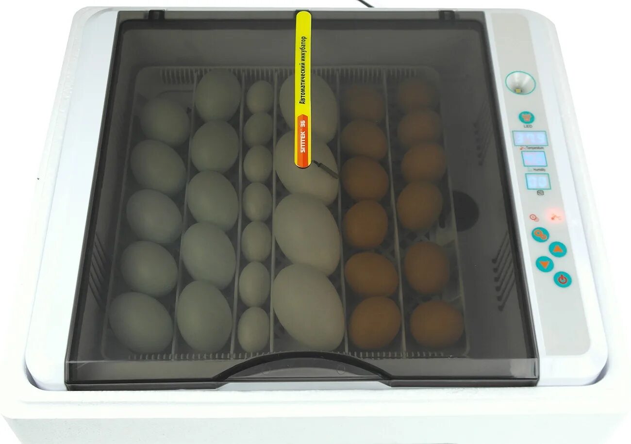 Инкубатор SITITEK 12. Лоток для инкубатора на 36\144 яиц лт2. Инкубатор SITITEK 36. Инкубатор на 36 яиц. Купить инкубатор для яиц хороший