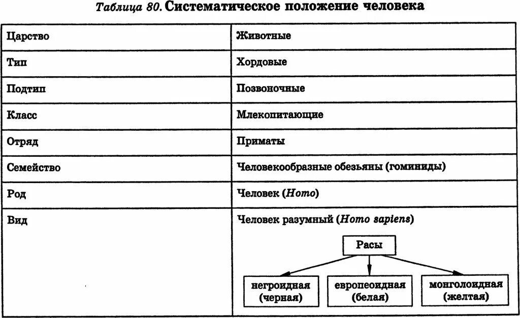 Таблица людей в мире. Систематическое положение человека. Систематическое положение таблица. Таблица положение человека. Систематика человека таблица.