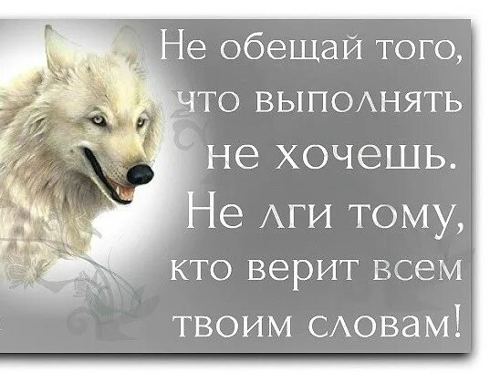 Статусы про обещания. Обещать и не выполнять цитаты. Цитаты про обещания. Статусы обещал. Следующим твоим словом будет