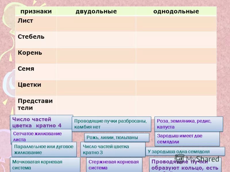 Число частей цветка кратно 4 или 5. Число частей цветка кратно пяти. Число частей цветка кратно четырём или пяти. Количество частей цветка кратно четырем или пяти