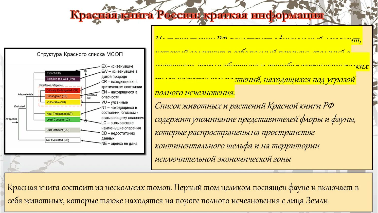 Красная книга россии цвета. Структура красной книги. Структура красной книги России. Мтруктура скрасной книги Росс. Структура международной красной книги.