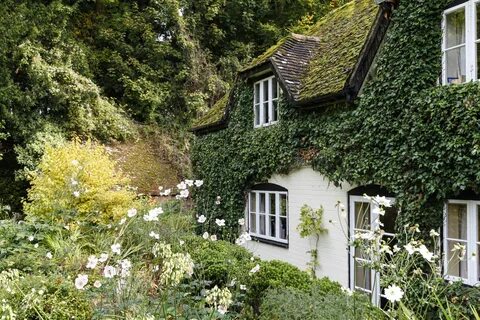 Cottage me