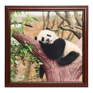 Pandas срез