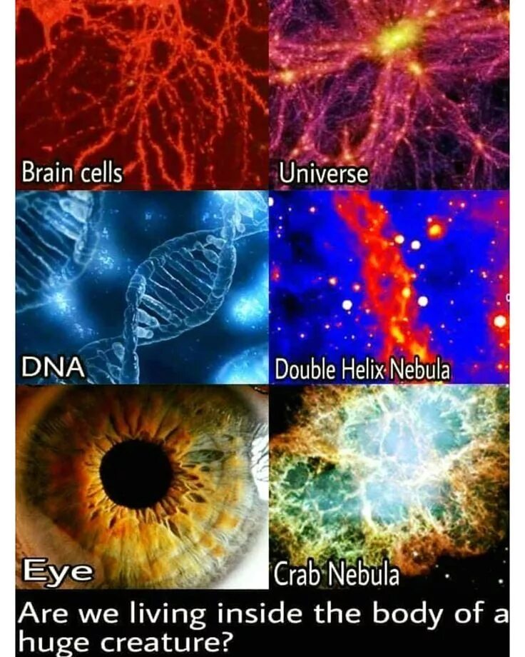 What is the universe