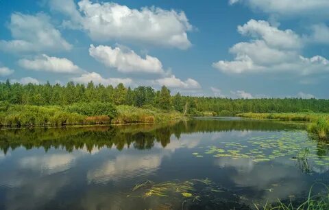 Тюменская область река