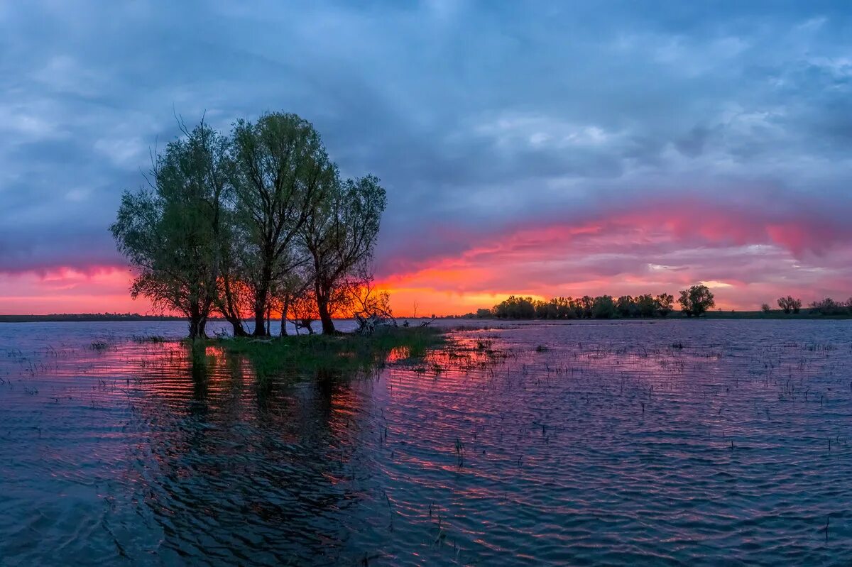 Поволжская природа. Река Волга Поволжье. Река Волга Астрахань. Астрахань пейзажи Волга. Природа Поволжья река Волга.