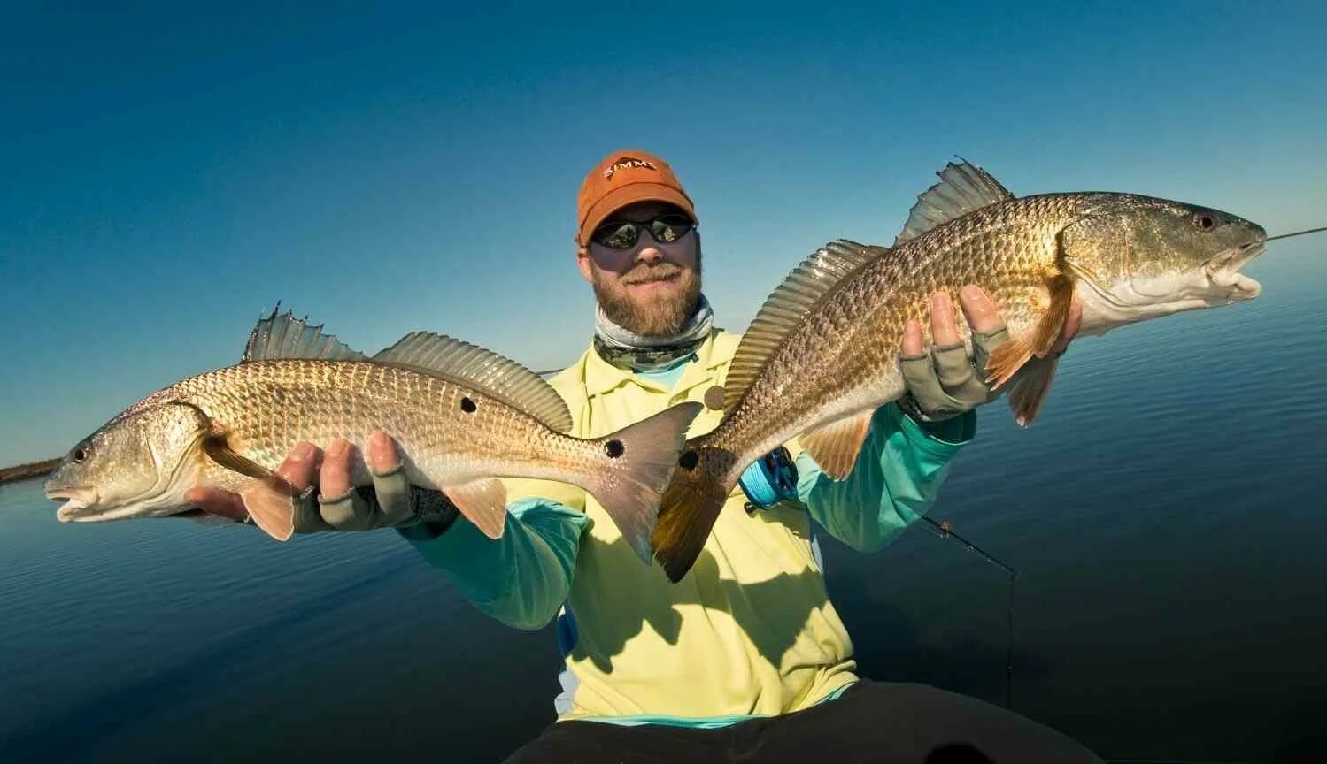к чему снится рыба с икрой женщине. кета лосось форель семга. икра,чавыча,белорыбица. ложка для икры. рыбья икра.
