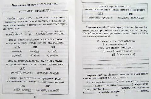 Программа дополнительных занятий по русскому языку