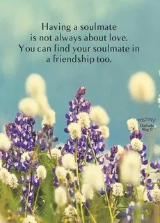 Find your friend