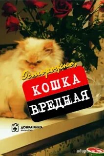 Мимоза опасна для кошек