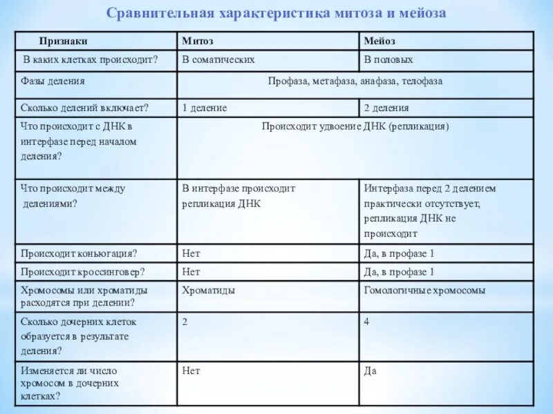 Отличие митоза от мейоза. Характеристика митоза и мейоза таблица. различия митоза и мейоза таблица 10 класс. сравнительная таблица митоза и мейоза 9 класс биология. сравнительная таблица митоза и мейоза 10 класс.