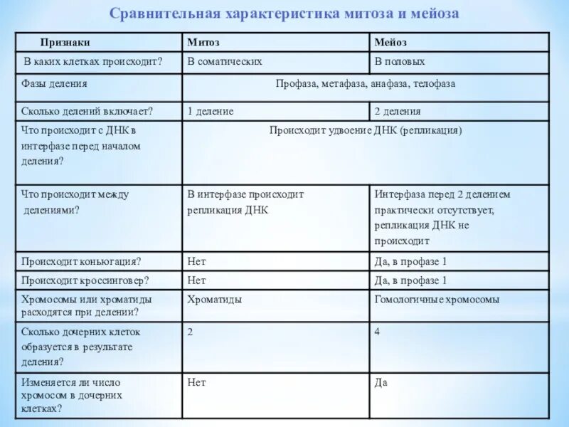 Митоз и мейоз различия и сходства 10 класс. Сравнительная таблица митоза и мейоза 9 класс биология. Сравнение особенностей митоза и мейоза. Отличие митоза от мейоза таблица 9 класс.