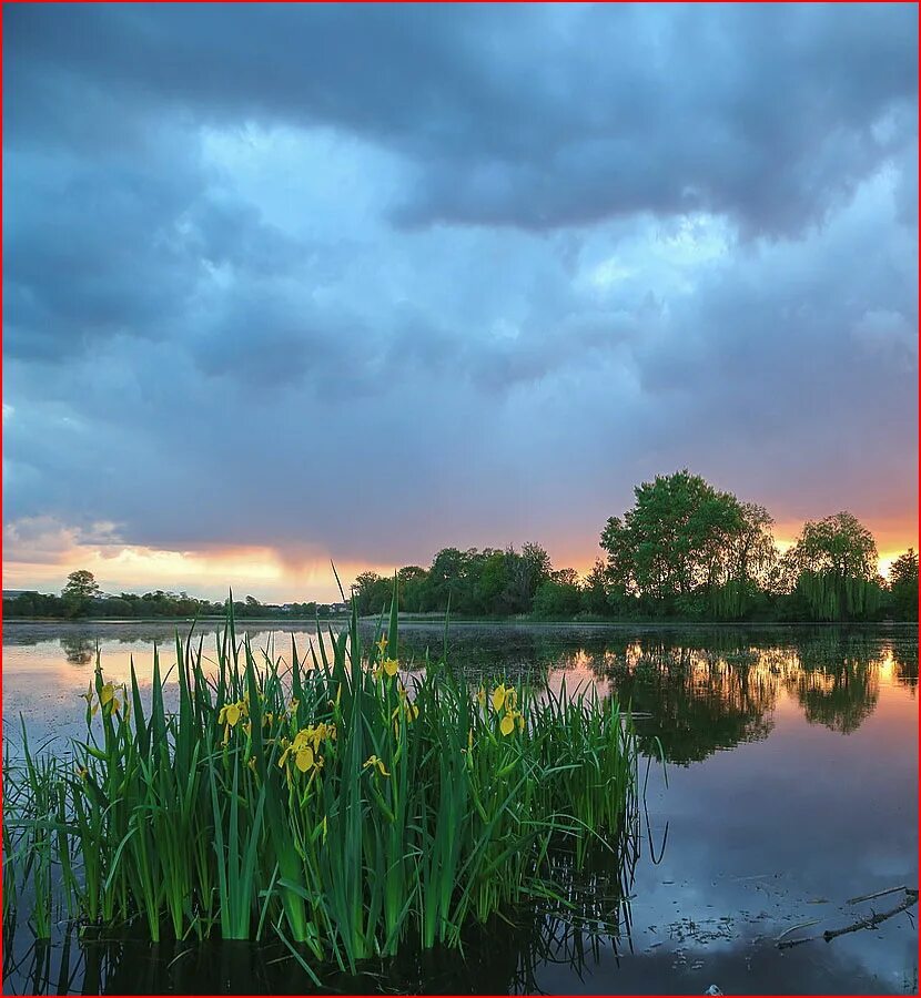 митяев вьюн над водой