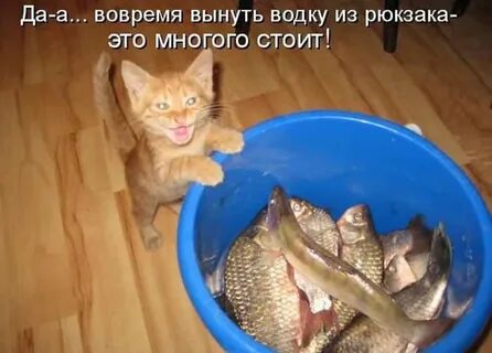 Сверху положенный