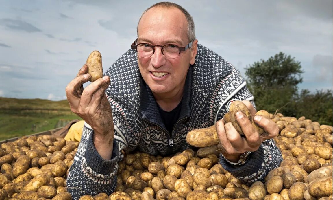 Первый урожай картофеля. Мужик с картошкой. Много картошки. Огромный урожай. Мужик с урожаем картошки.