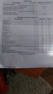 Асло норма