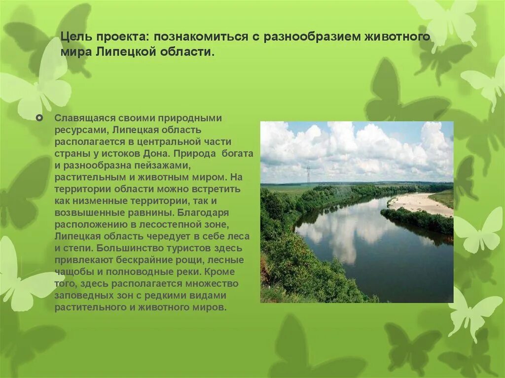 Проект по окружающему миру разнообразие. Растительный мир липецкой области липецкого края. природа липецкой области проект. разнообразие природы липецкой области. природа липецкой области разнообразна.