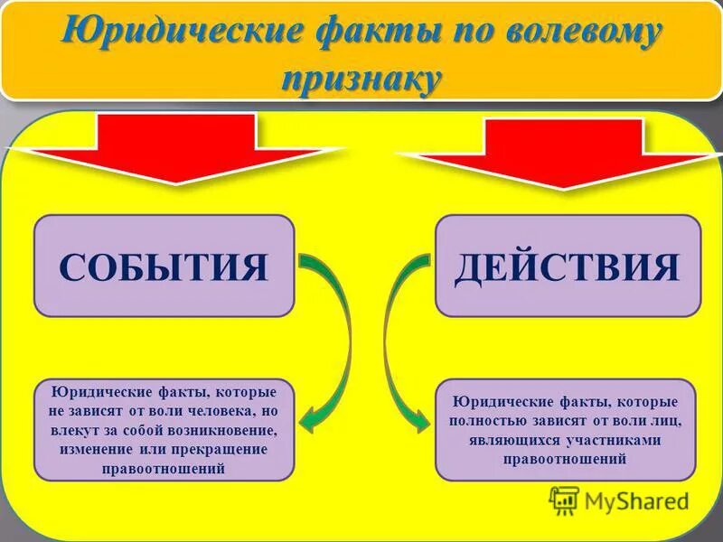 Юридические факты зависящие от воли человека