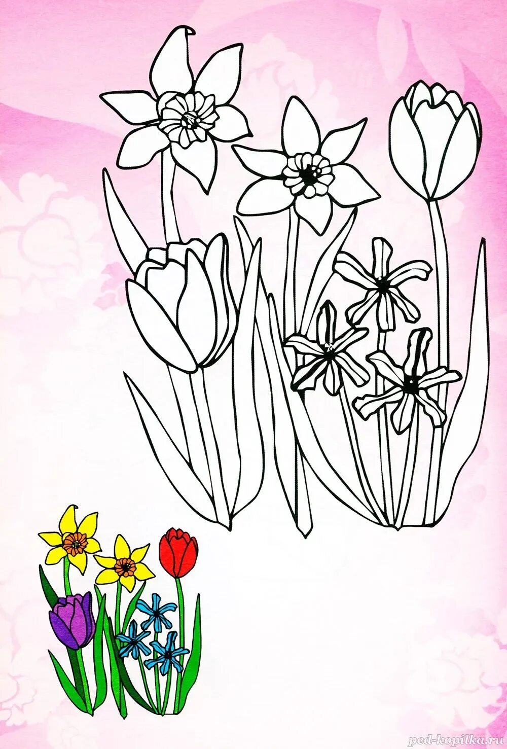 Весенние цветы раскраска. Весенние цветы раскраска для детей. Весенние цветы для раскрашивания детям. Цветы. Раскраска для малышей. Как нарисовать весенние цветы