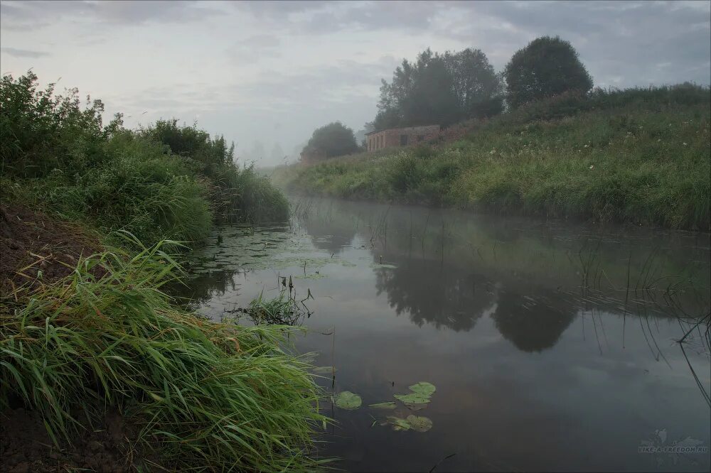 Жд станция верхняя терраса. Платформа владимирская кобралово. Станция александров 1. Станция костино станция. Обл 07.