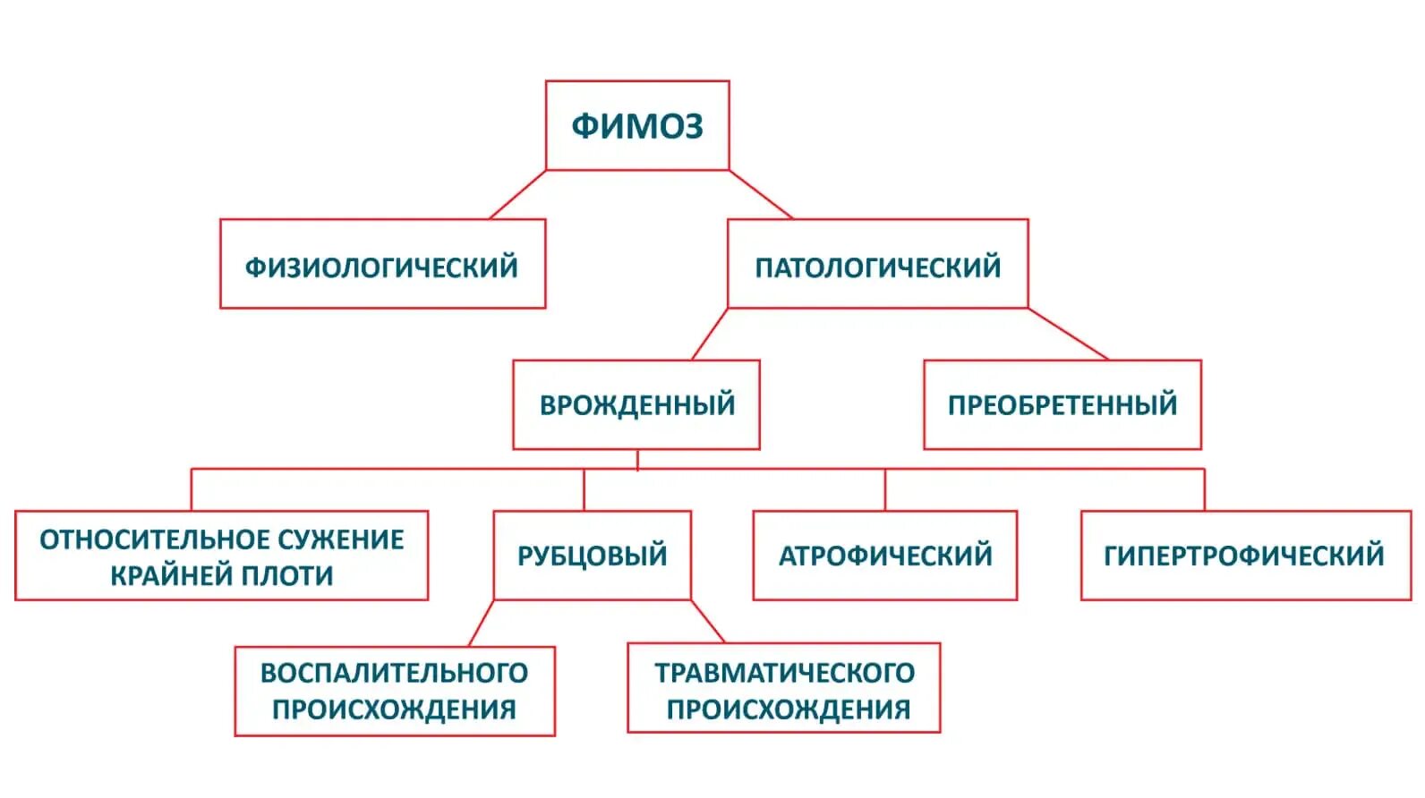 Что такое парафимоз. Фимоз классификация. Классификация фимоза у детей. Фимоз этиология клиника.