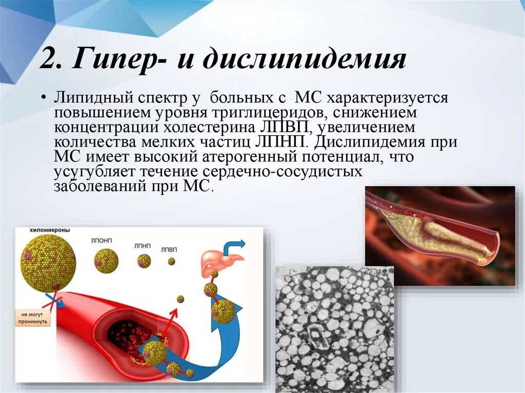 Дислипидемия лечение. Атеросклероз и дислипидемия. дислипидемия презентация. дислипидемия заболевания. стрессовая дислипидемия.