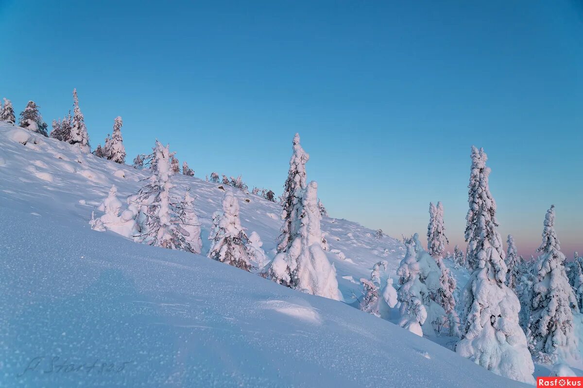 посёлок пашия. сердце пармы зимой. заимка лысьва пермский край. пейзажи пермской области п пашия. гора хариусный камень.