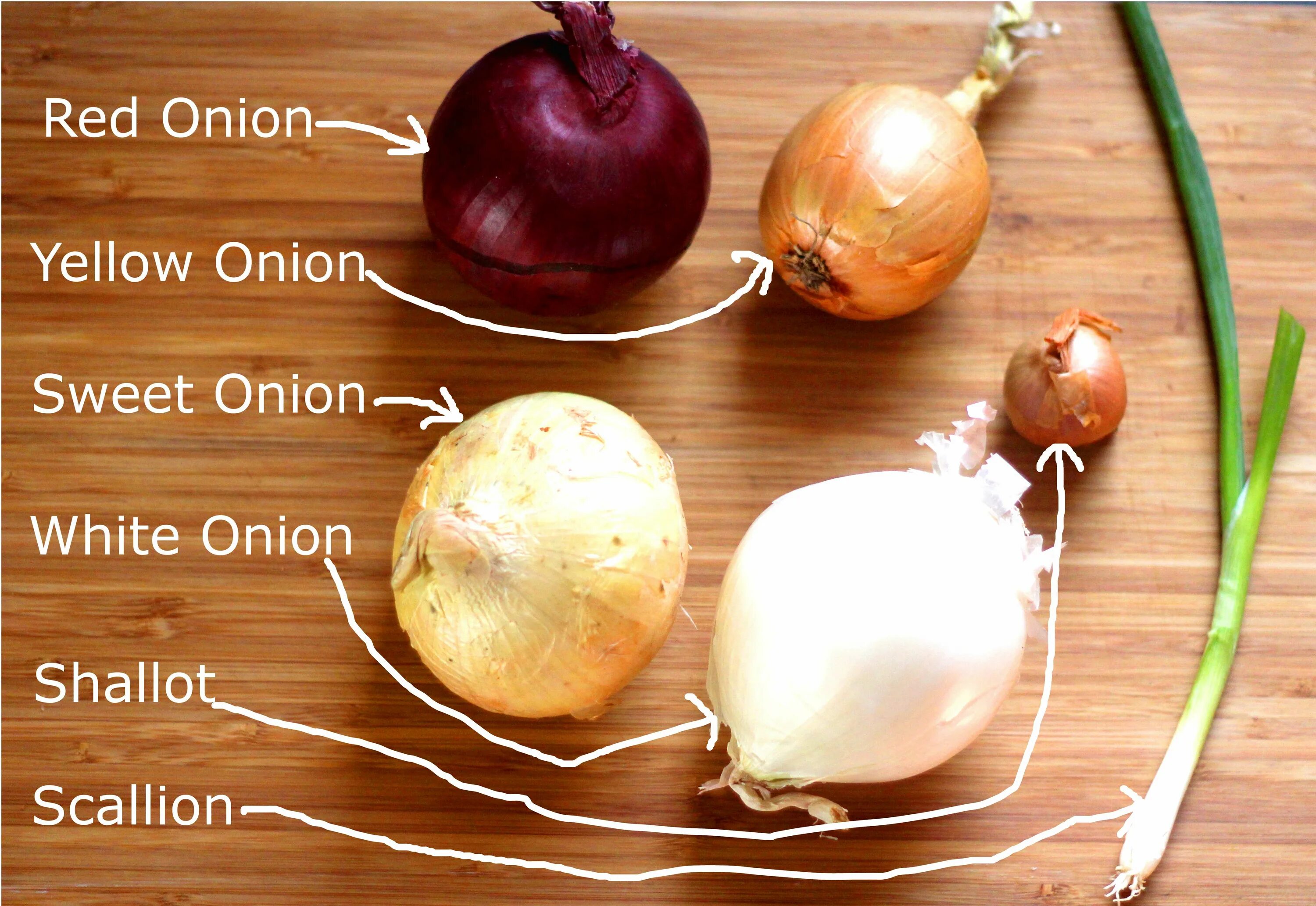 Red onion api download. Лук yellow spanish. to know your onions idiols. how do onions thrive in the right location?. what recipes do they recommend for onions?.