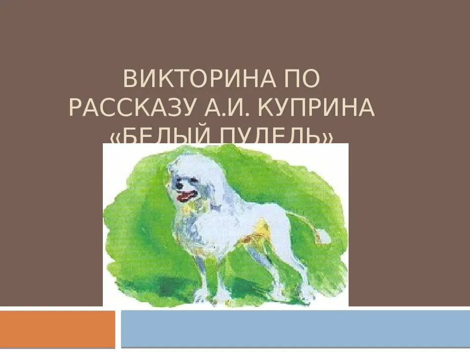 Куприн пудель распечатать. Белый пудель. А. И. Куприн "белый пудель". Белый пудель иллюстрации. Презентация Куприн белый пудель.