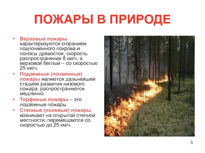 Низовой беглый Лесной пожар. Верховой пожар низовой пожар и подземный пожар. Пожары характеризуются. Характеристика пожаров.