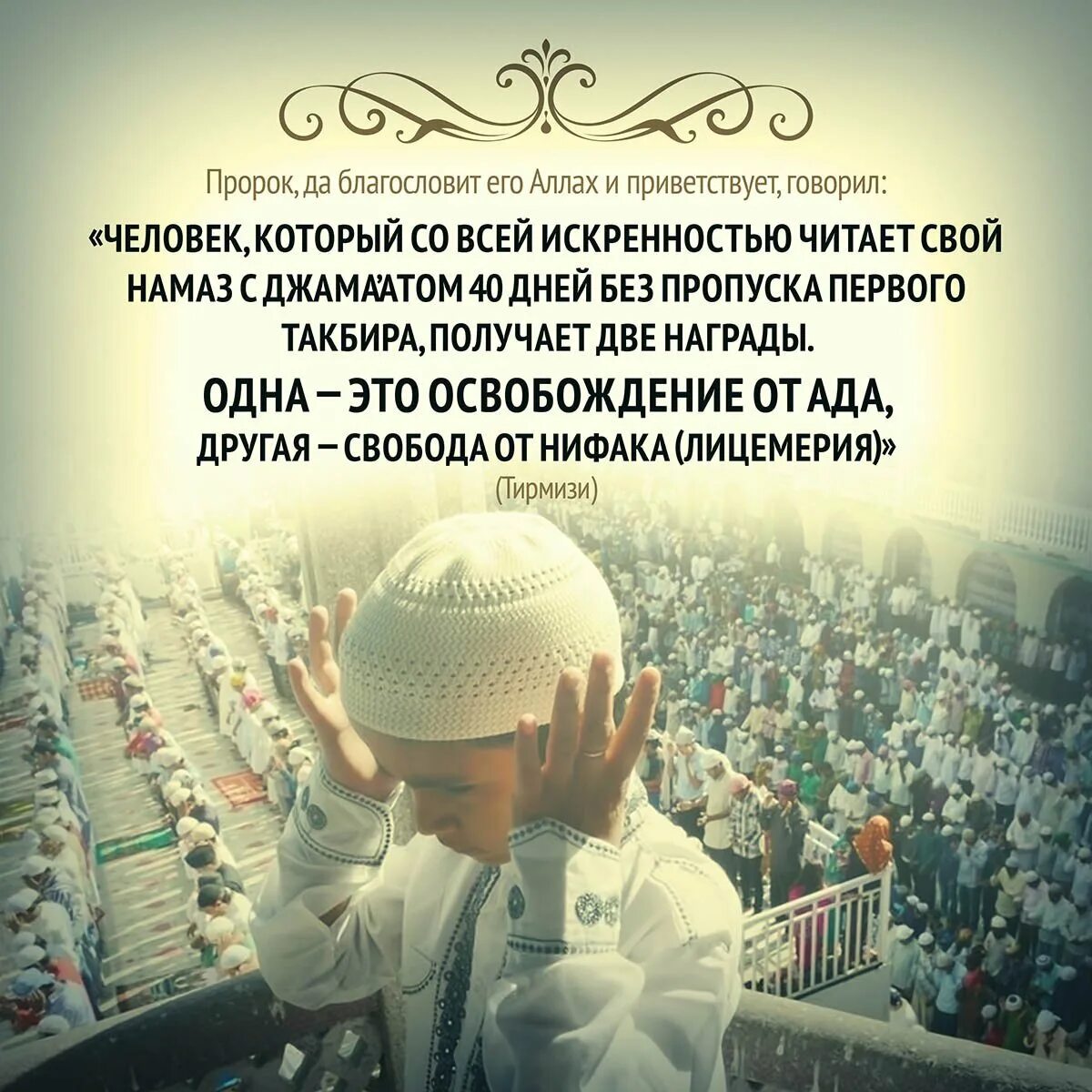 Ин шала перевод