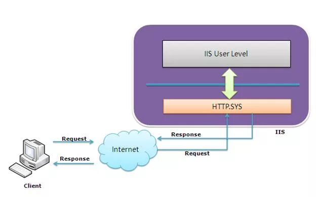 Архитектура IIS. IIS структура. IIS картинка. Веб-приложение IIS. Sys users