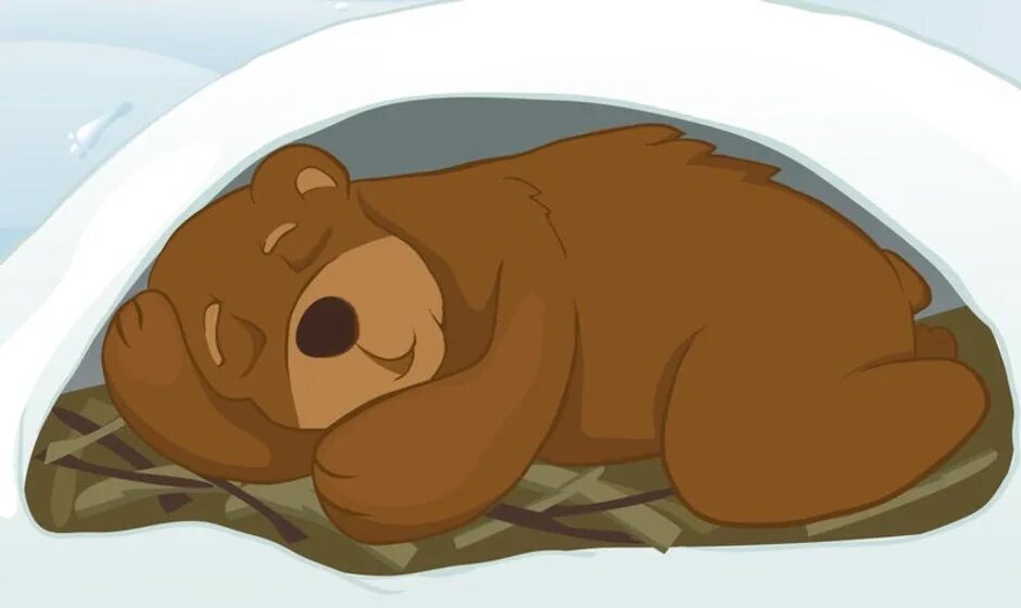 Спящий мишка в берлоге. Берлога медведя. Медведь в спячке для детей. Медведь в берлоге иллюстрация.