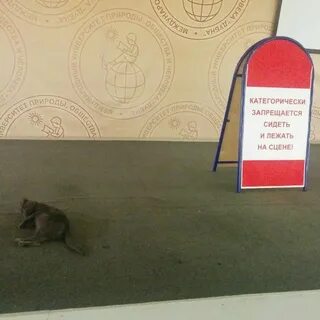 Лежал на сцене