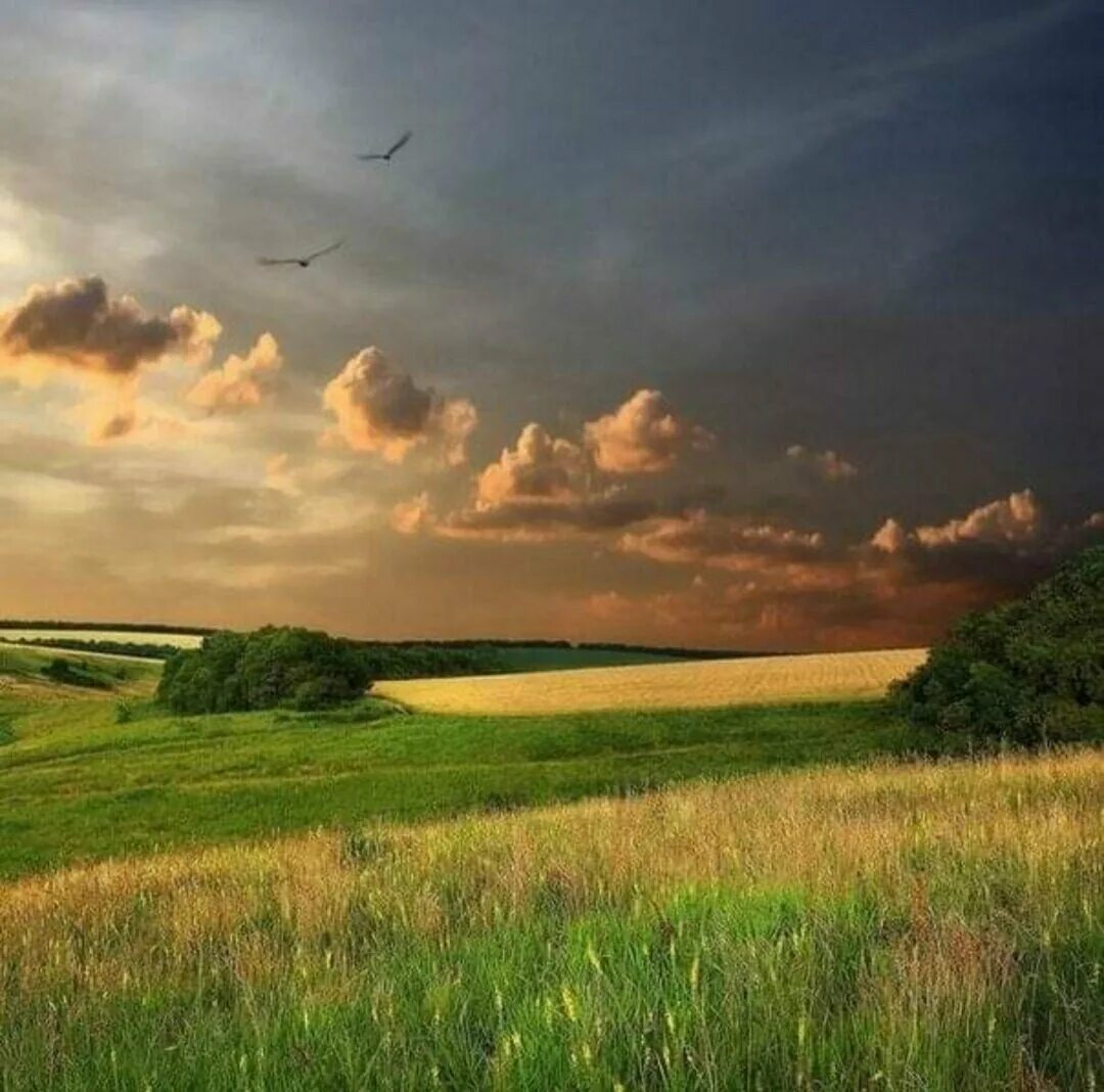 Поле подполе алгебра. Трава и небо. Робокар поли нарисовать ребенку. Проста поли. Пейзаж лето.