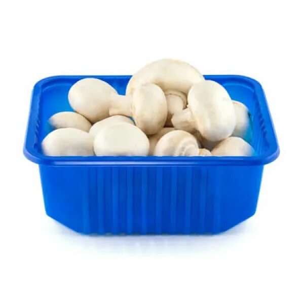 Mushroom Box. Mushroom Sprouts package. Packaging with Mushroom Fiber. Eco Fresh Mushrooms. 14 1305 mushroom