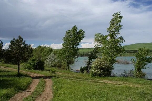 Погода сухая и безветренная. Безветренно. Ветреный летний день. Ветрено безветренно. На улице безветренно.