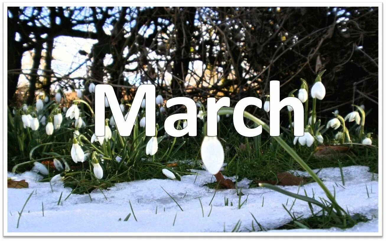 The first of march. Март надпись. March март. Март на англ. March надпись.