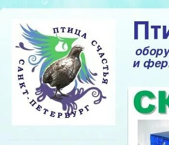 Центр птица