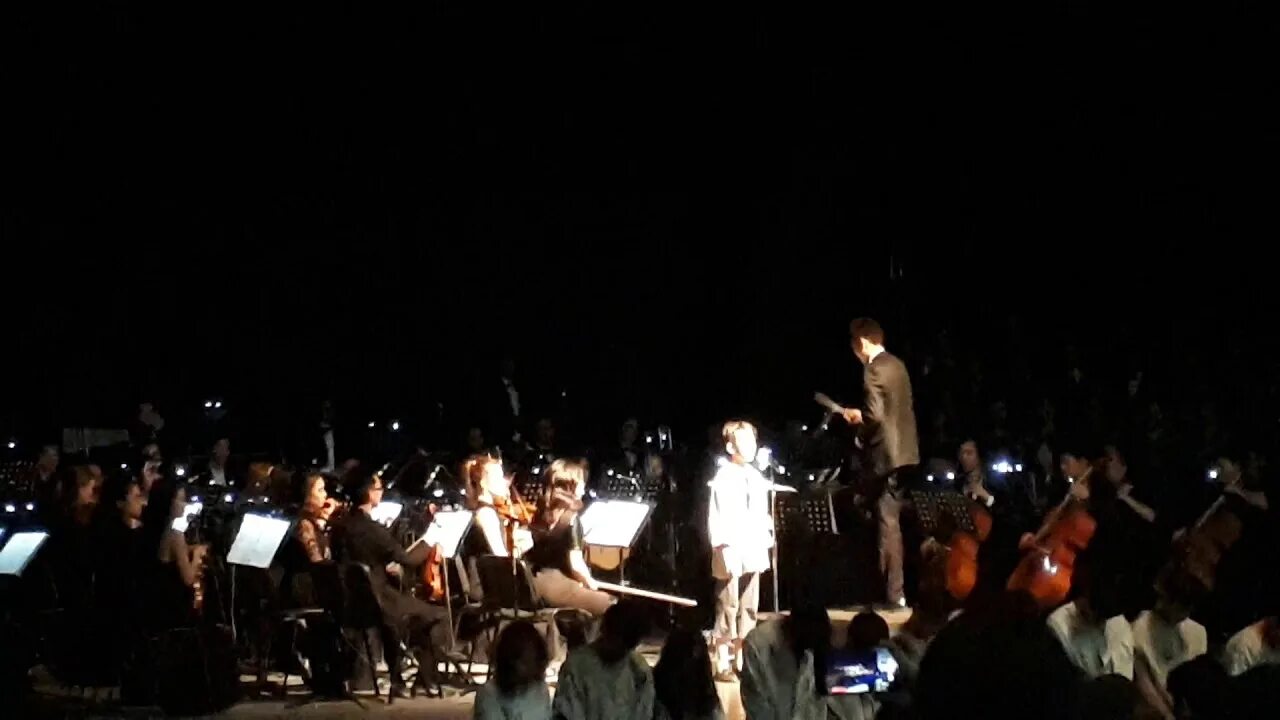 Симфонический оркестр пираты. Симфонический оркестр пираты. Симфонический оркестр пираты. Иркутская филармония руководитель оркестра. Бернский симфонический оркестр.