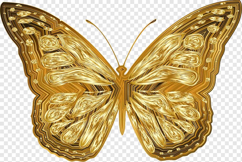 Золотая бабочка. Золотистая бабочка. Золотые бабочки на белом фоне. Золотые бабочки на прозрачном фоне.