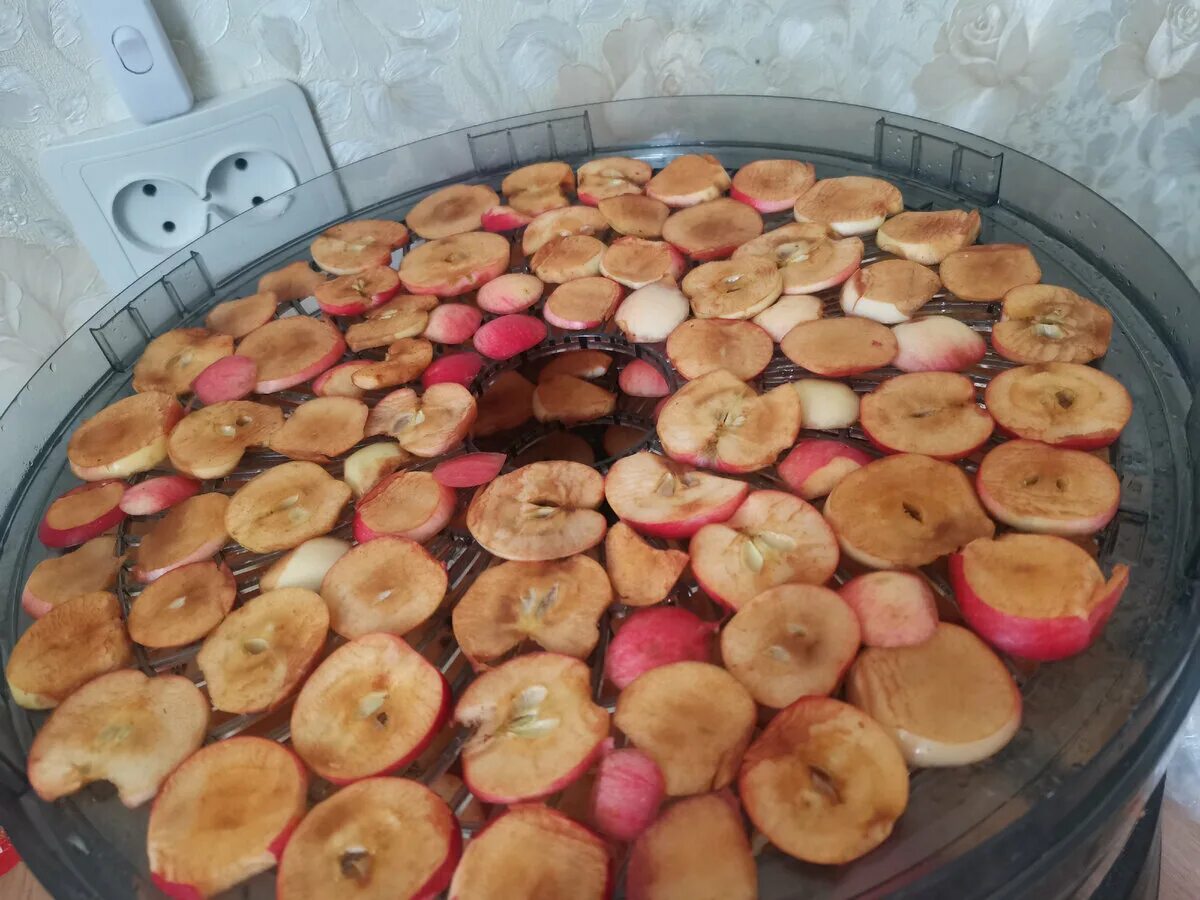 Сколько по времени нужно сушить яблоки