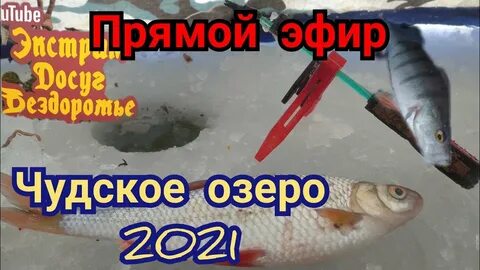 Форум чудского озера