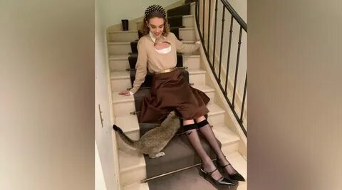 Полез в юбку