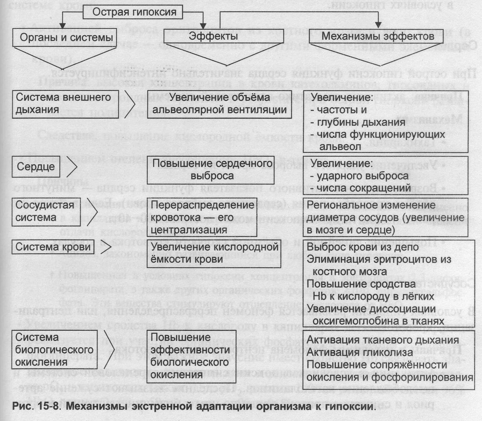 Экстренный механизм адаптации к гипоксии. Экстренная адаптация к гипоксии схема. Долговременные механизмы адаптации при гипоксии. Экстренные адаптивные реакции при гипоксии их механизмы.