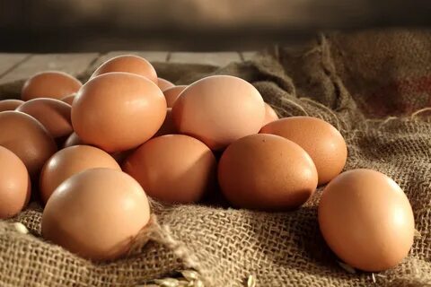 Egg farm