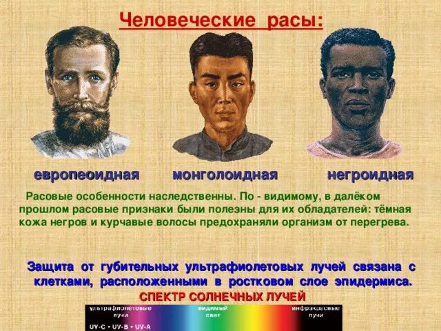 Темная кожа у какой расы. Негроидная и монголоидная раса. Европеоидная монголоидная негроидная раса. Расы европеоидная монголоидная Экваториальная. Признаки рас европеоидная монголоидная негроидная.
