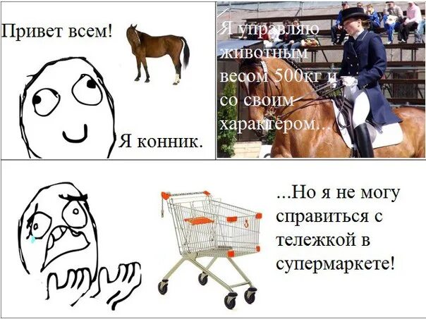 Полезная информация для конников. Слова конников. Слова конников. Слова конников. Слова конников.