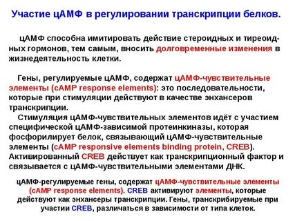 Имитирующие действия