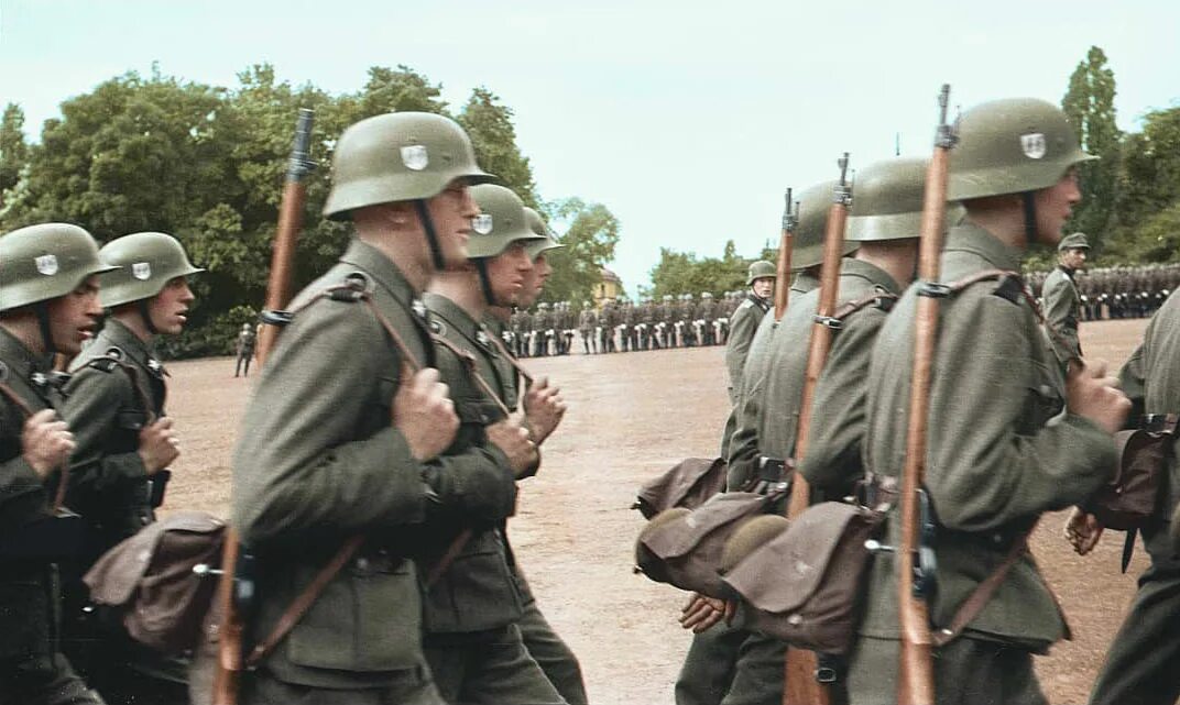 Ваффен СС 1941. Дивизия СС Данмарк. Сербский добровольческий корпус войск СС. Добровольческий корпус СС «Данмарк».